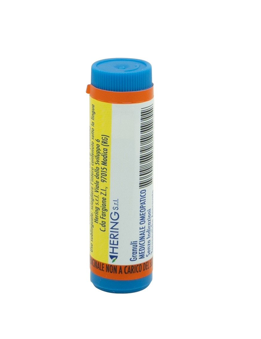 BELLADONNA*1000K GL 1G - pharmaonline24.it