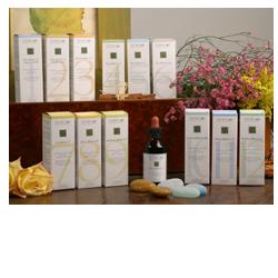 ZEF11 CALMA PLANT STV - pharmaonline24.it