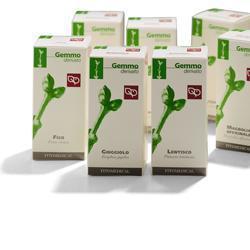 CISTO MACERATO GLICERICO 200 ML - pharmaonline24.it