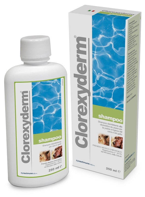 CLOREXYDERM SHAMPOO 250 ML - pharmaonline24.it