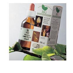 NOCE MACERATO GLICERICO 100 ML - pharmaonline24.it