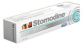 STOMODINE GEL GENGIVALE CANI 30 ML - pharmaonline24.it