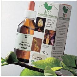 BETULLA MACERATO GLICERICO 100 ML - pharmaonline24.it