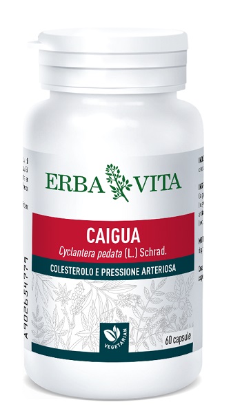 CAIGUA 60 CAPSULE 400 MG - pharmaonline24.it