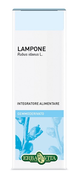 GEMMODERIVATO LAMPONE 50 ML - pharmaonline24.it