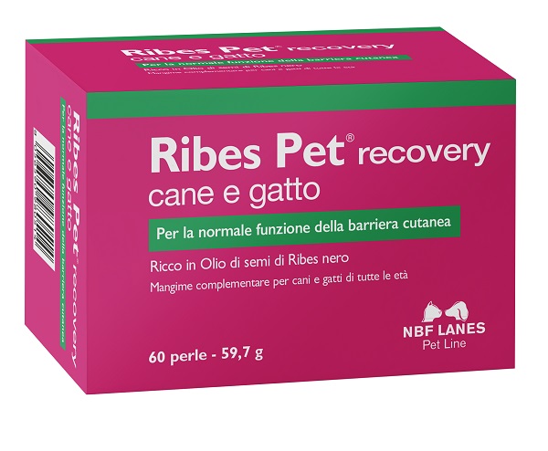 RIBES PET RECOVERY BLISTER 60 PERLE - pharmaonline24.it