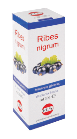 RIBES NIGRUM MACERATO GLICERICO 100 ML GOCCE - pharmaonline24.it