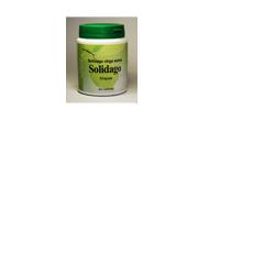SOLIDAGO 60 CAPSULE - pharmaonline24.it