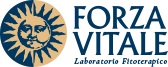 LES FAGUS SILVATICA GOCCE 50 ML - pharmaonline24.it