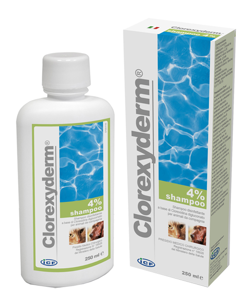 CLOREXYDERM SHAMPOO 4% 250 ML - pharmaonline24.it