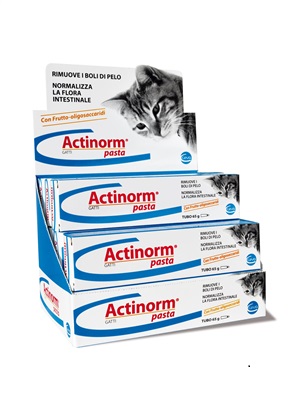 ACTINORM PASTA GATTI 65 G - pharmaonline24.it