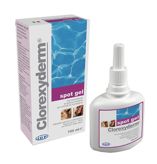 CLOREXYDERM SPOT GEL 100 ML - pharmaonline24.it