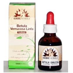 FITOBLASTO BETULLA VERRUCOSA LINFA 50 ML - pharmaonline24.it