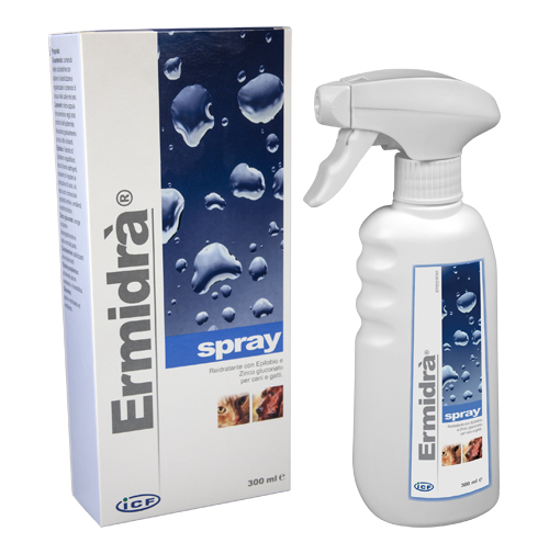 ERMIDRA' SPRAY 300 ML - pharmaonline24.it