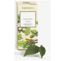 BETULA VERRUCOSA LINFA GEMMODERIVATO BIO 50 ML - pharmaonline24.it