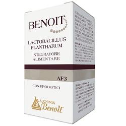 BENOIT LACTOBACILLUS PLANTHARUM 30 CAPSULE - pharmaonline24.it