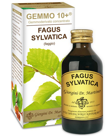 GEMMO 10+ FAGGIO 100 ML LIQUIDO ANALCOLICO - pharmaonline24.it