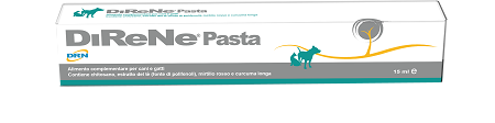 DIRENE PASTA 15 ML - pharmaonline24.it