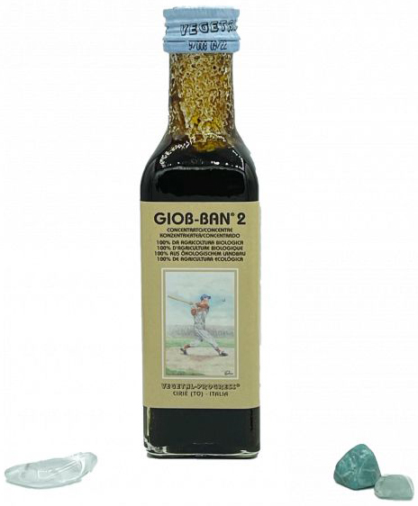 GIOB BAN 2 ART ESTRATTO CONCENTRATO BIOLOGICO 100 ML - pharmaonline24.it