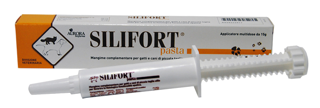 SILIFORT PASTA OS SIRINGA 15 G - pharmaonline24.it