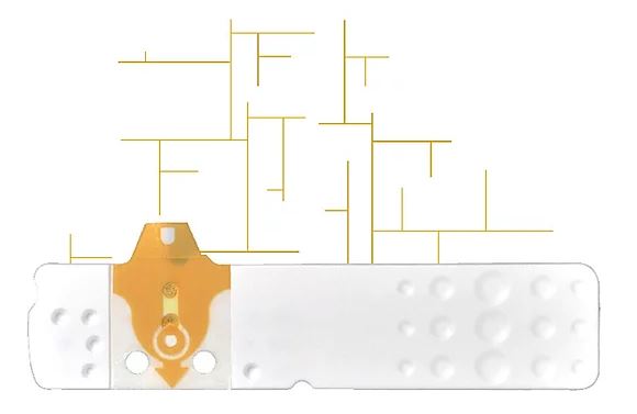 STRISCE MISURAZIONE GLICEMIA LINEA D ORO 25 PEZZI - pharmaonline24.it