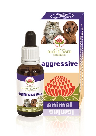 AGGRESSIVE 30 ML - pharmaonline24.it