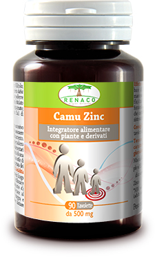 CAMU ZINC 90 COMPRESSE - pharmaonline24.it