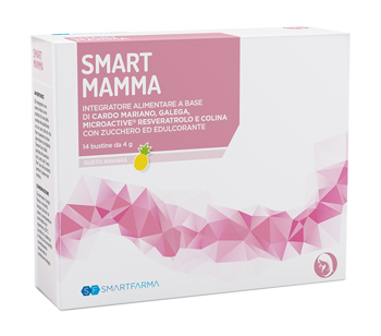 SMART MAMMA 14 BUSTINE GUSTO ANANAS - pharmaonline24.it