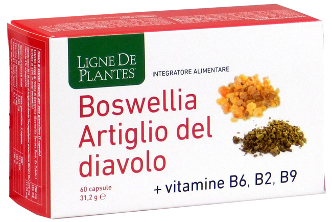 BOSWELLIA ARTIGLIO DIAVOLO VITAMINE B2 B6 B9 60 CAPSULE - pharmaonline24.it