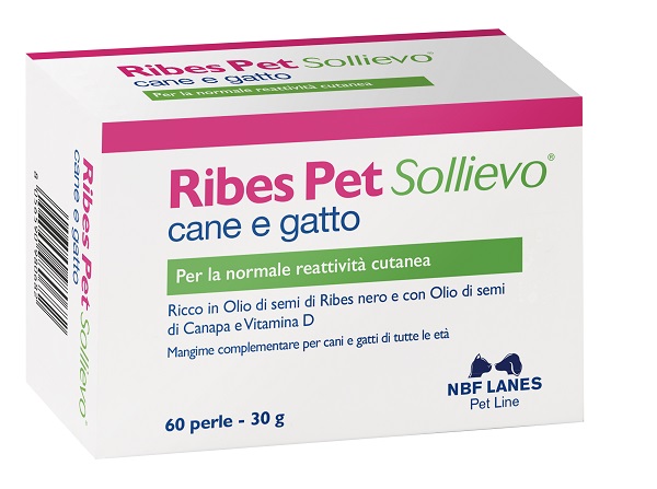 RIBES PET SOLLIEVO BLISTER 60 PERLE - pharmaonline24.it