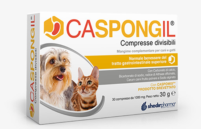 CASPONGIL 30 COMPRESSE DIVISIBILI - pharmaonline24.it