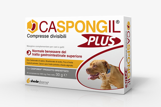CASPONGIL PLUS 30 COMPRESSE - pharmaonline24.it