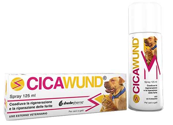 CICAWUND SPRAY 125 ML - pharmaonline24.it