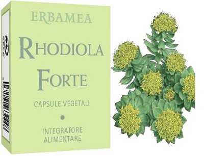 RHODIOLA FORTE 24 CAPSULE - pharmaonline24.it