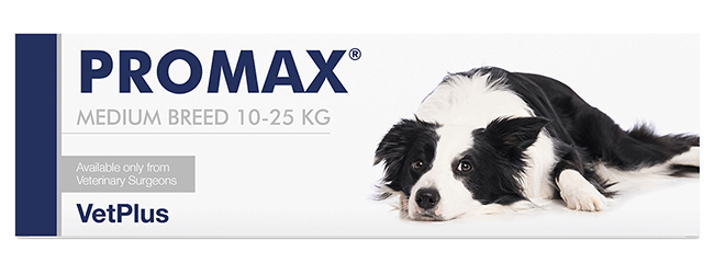 PROMAX MEDIUM BREED 18 ML - pharmaonline24.it