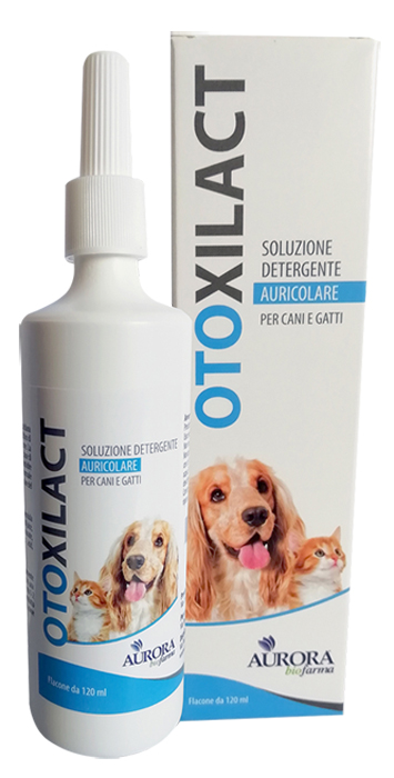 OTOXILACT DETERGENTE AURICOLARE - pharmaonline24.it