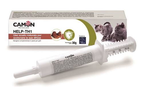 HELP-TH1 PASTA SIRINGA 30 G - pharmaonline24.it