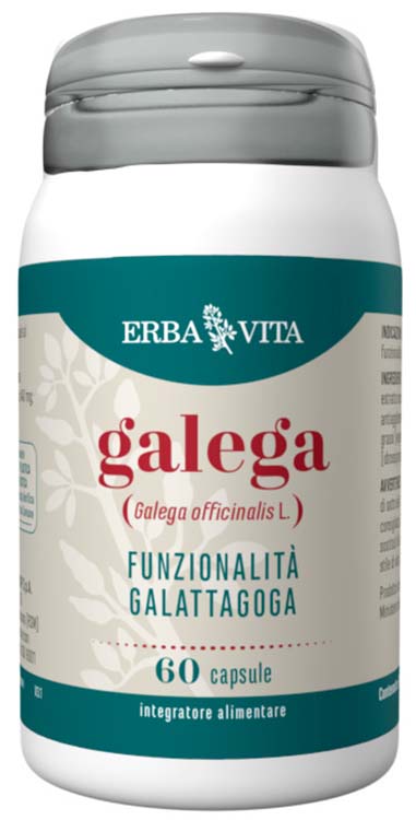 GALEGA 60 CAPSULE - pharmaonline24.it