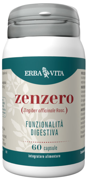ZENZERO 60 CAPSULE - pharmaonline24.it